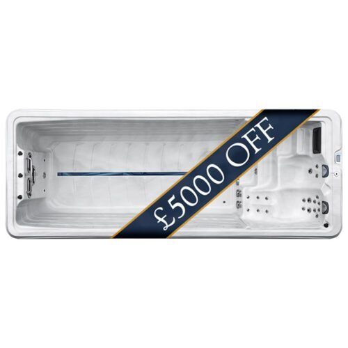 Bellini sale